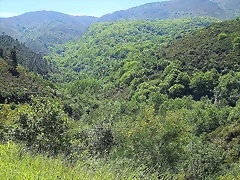 135-Imagen 136 135-Imagen 136