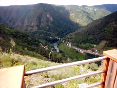 DSCN7731 DSCN7731
