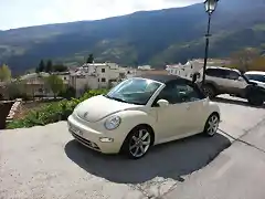 beetle2