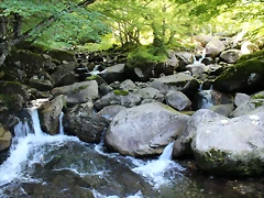 IMG_7158 IMG_7158