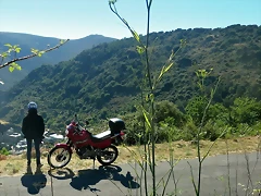 IMG_7564 IMG_7564
