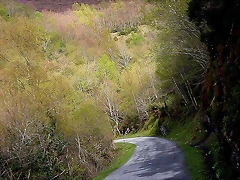 DSCN9059 DSCN9059