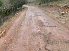 P1030033 P1030033