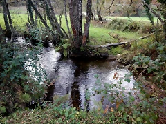 DSCN0562 DSCN0562