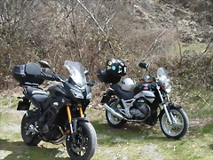 SAM_3059