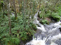 DSCN5789 DSCN5789