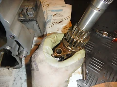 DSCN1537 DSCN1537