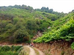 DSCN6240 DSCN6240
