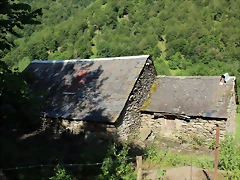 IMG_6751 IMG_6751