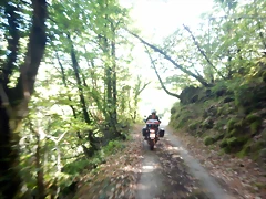 DSCN0458 DSCN0458