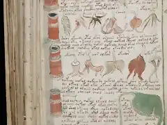 Manuscrito Voynich el libro que nadie puede leer