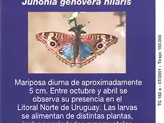 MARIPOSA003