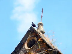 DSCN1182'5 DSCN1182'5