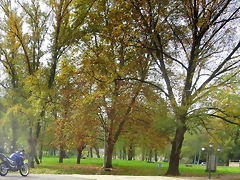 IMG_5058 IMG_5058