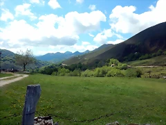 DSCN0619 DSCN0619