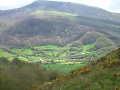 IMG_1864 IMG_1864