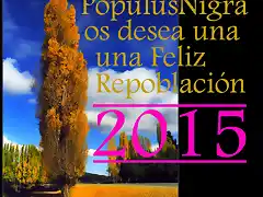 Feliz 2015