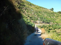 DSCN4212 DSCN4212