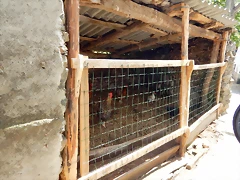 DSCN1167 DSCN1167