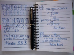 P1030346 P1030346