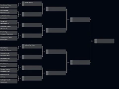 Screenshot_2021-02-04-Generador-de-Llaves-de-Torneo-Challonge3