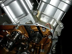14 DSCN2845 14 DSCN2845