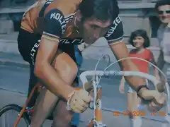 MERCKX MOLTENI.