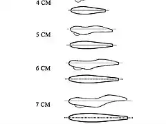 Plantillas Poteras en Centimetros (Modelo 1)