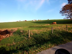 DSCN0539 DSCN0539