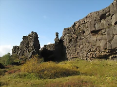 IMG_0965 IMG_0965