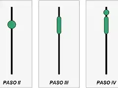 Elaboracion juncos