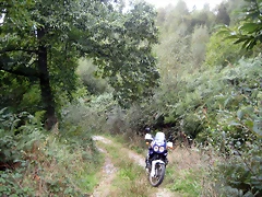IMG_0454 IMG_0454