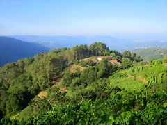17-IMG_2357