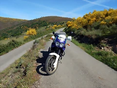DSCN0977