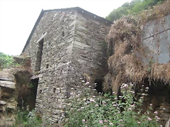 IMG_0295 IMG_0295