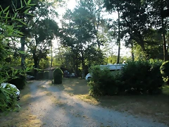 IMG_0089 (Copier) IMG_0089 (Copier)