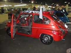 SDC14494 SDC14494