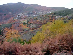 DSCN9550 DSCN9550