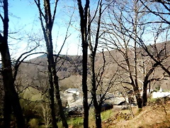 DSCN3632