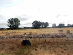 DSCN6460 DSCN6460