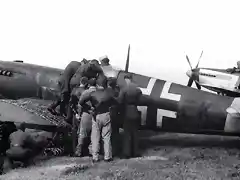 Luftwaffe Spitfire[1]