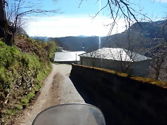 DSCN3695 DSCN3695