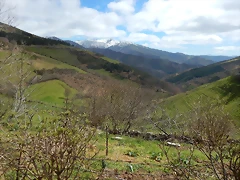 DSCN9136.JPEG DSCN9136.JPEG