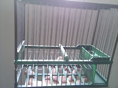 IMAG0705 IMAG0705