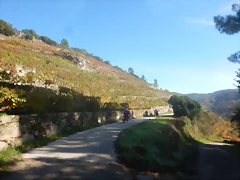 DSCN4644 DSCN4644