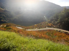 DSCN4645 DSCN4645