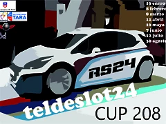 Cartel Copa 208