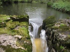 DSCN4180 DSCN4180