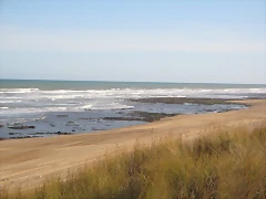 IMG_5009 IMG_5009