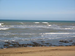 IMG_5008 IMG_5008
